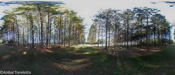 _DSC1386 Panorama.jpg